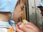 Click pentru poza mare
